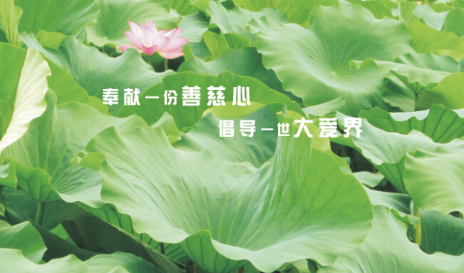 1429853045575664.jpg 1429853045575664.jpg